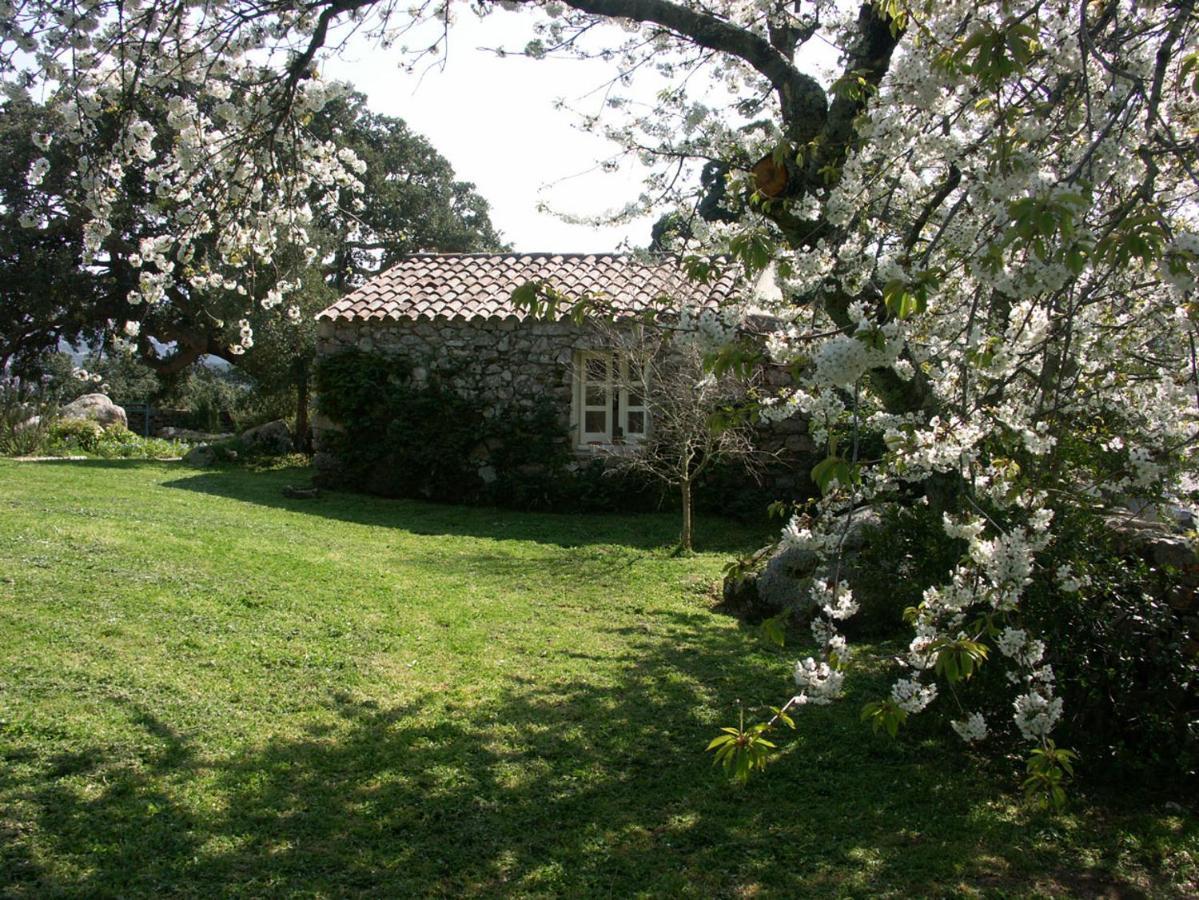 Li Pireddi Villa Aglientu Exterior photo