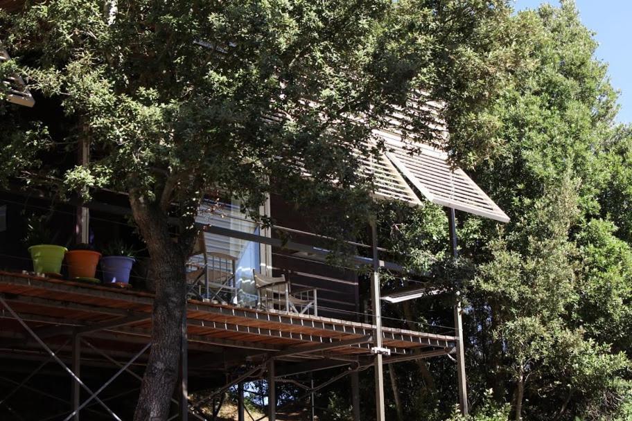 Li Pireddi Villa Aglientu Exterior photo